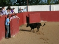 dscn0528.jpg